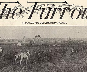 article thumbnail